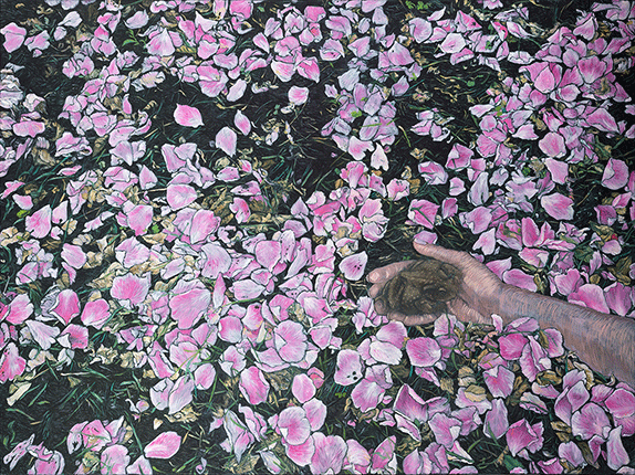 Picture of a hand with a toad in its palm on a carpet of rose petals on the black earth